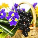 phoca_thumb_l__MG_7837